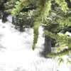 phoca_thumb_s_nwn2_ss_031609_223858.jpg